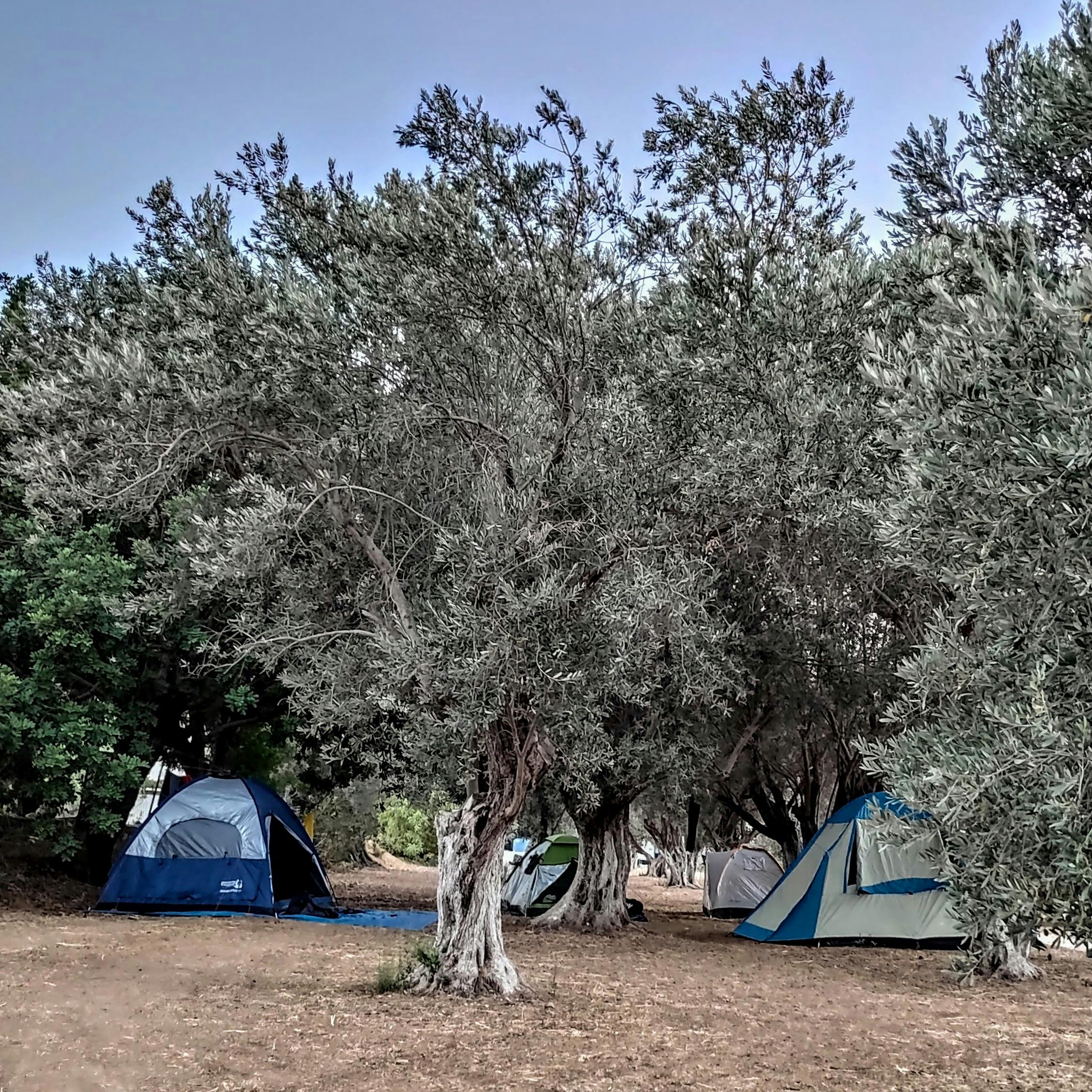 Camping on Leros