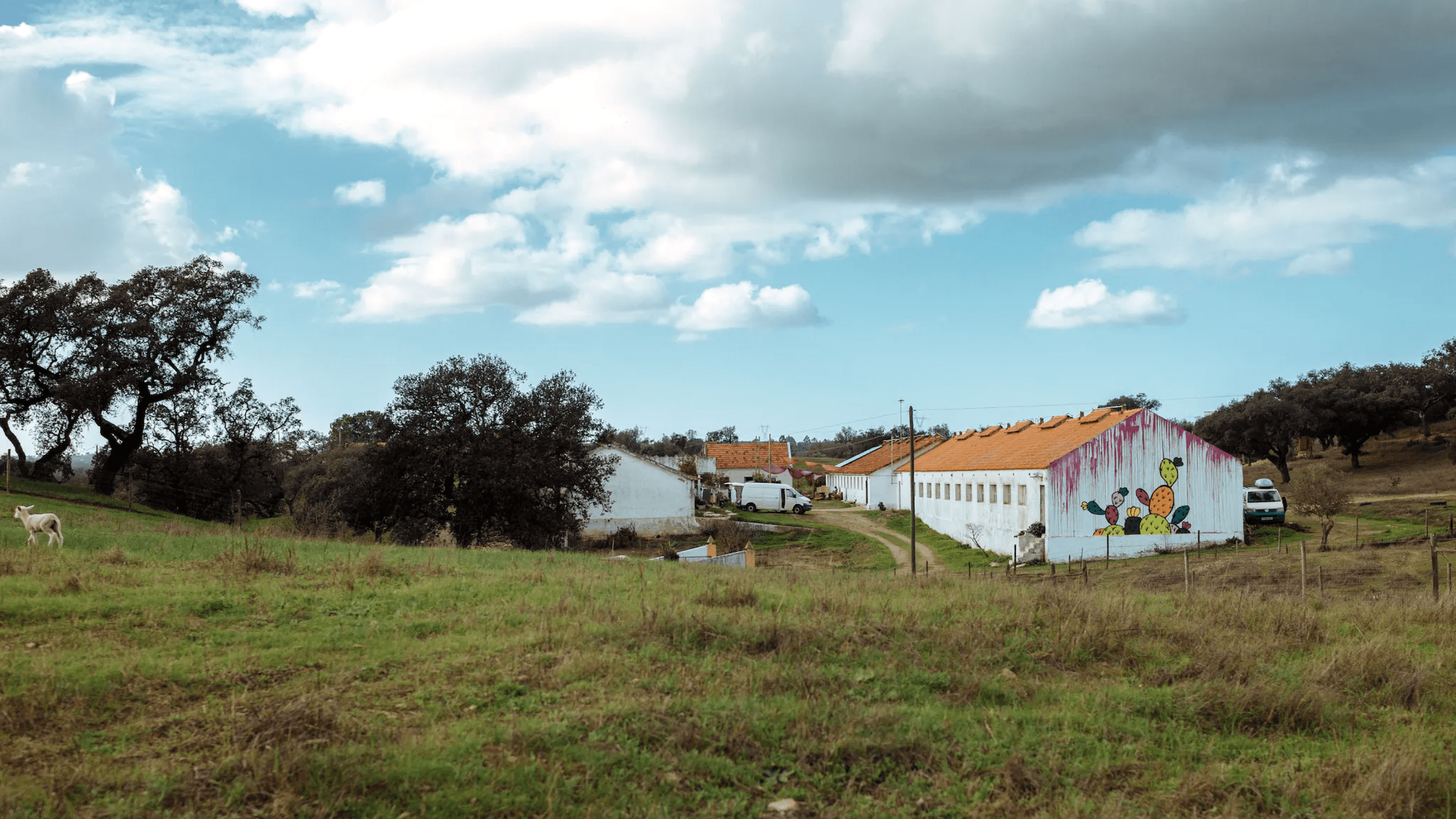 Setubal, Portugal 🇵🇹