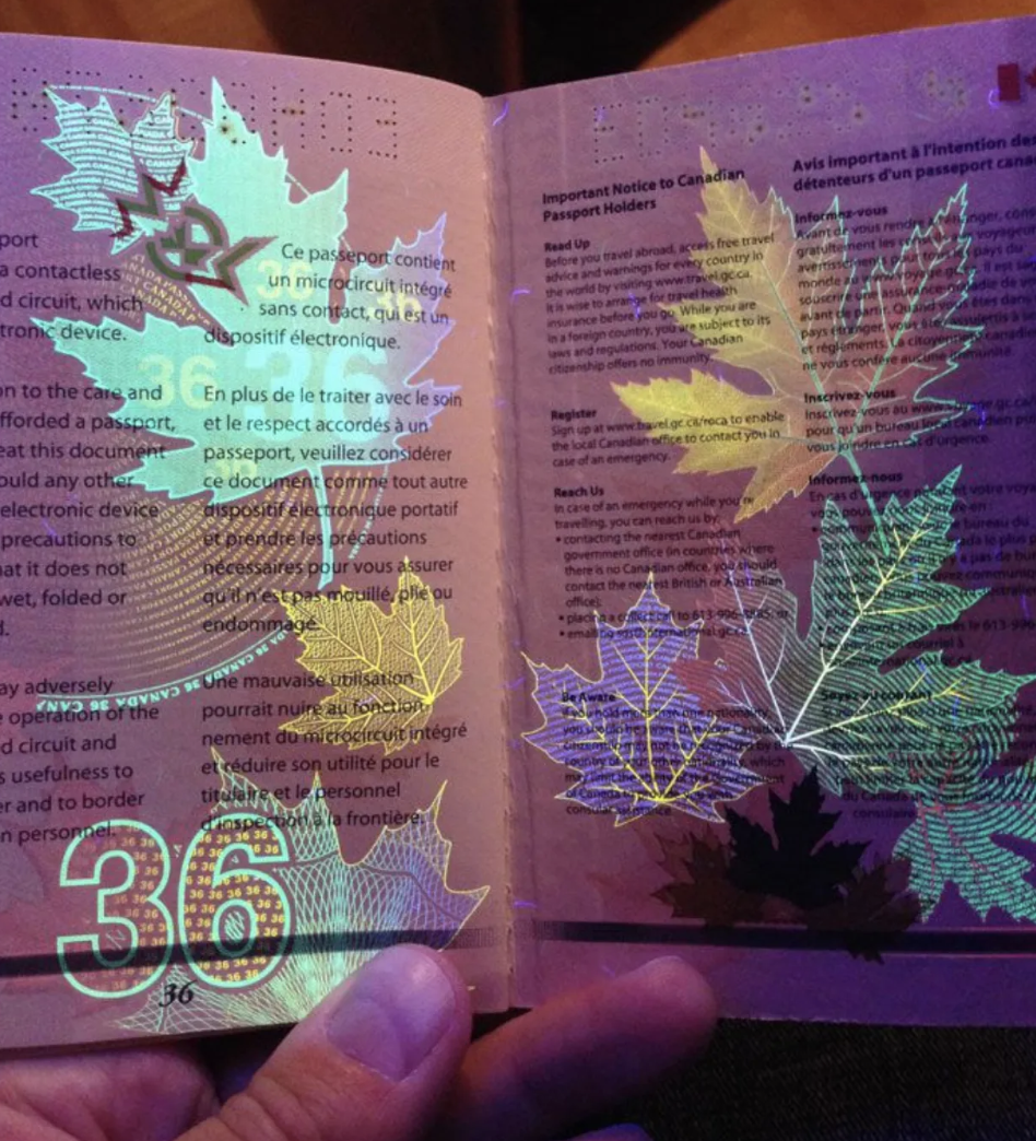 Canada’s passport reveals maple leaves and other detailed symbols under blacklight